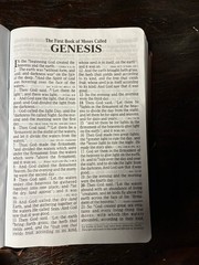 Brown Leathersoft NKJV Giant Print 16 Point