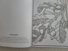 THANKSGIVING ADULT COLORING BOOK – 2022 CENTENNIAL – 32 FESTIVE COLORING PAGES
