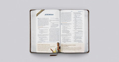 ESV following Jesus Bible (Trutone, Brown)