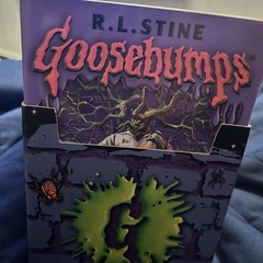 Lot of 19 Vintage 1990’s Goosebumps Books & Rare Cardboard Bookends 1st Print!