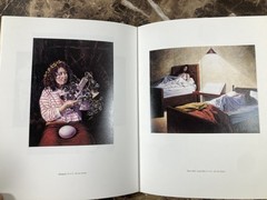 Katherine Levin-Lau Bay Area Masters Series Triton Museum of Art 1992 Catalog