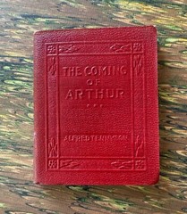 Antique Red Little Leather Small Book Will Of The Mill Stevenson Classic NY