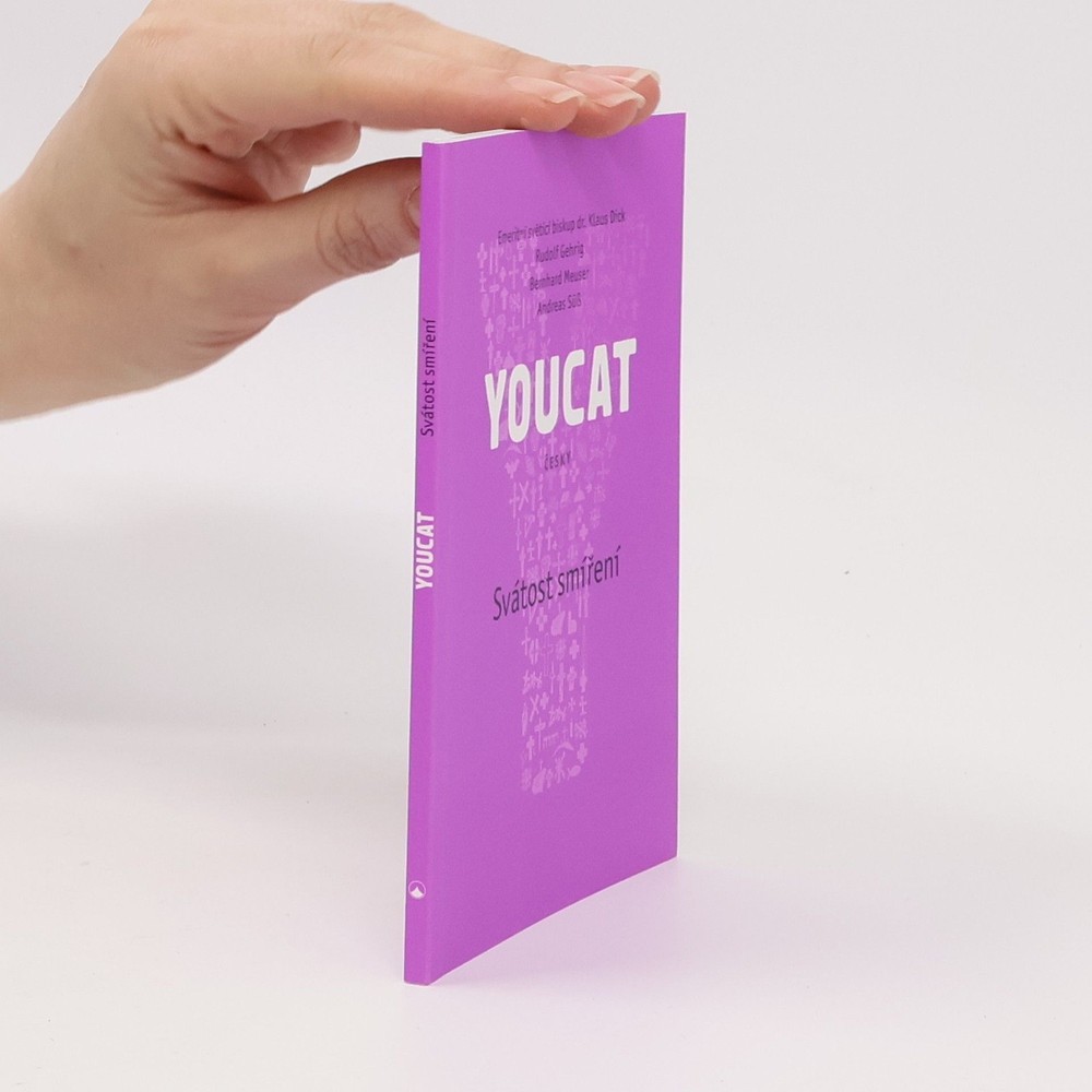 YOUCAT: Česky : svátost smíření : “provádím aktualizaci!, zpovídám se!”