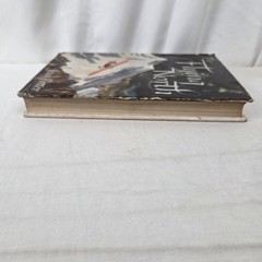 The Flying North by Jean Potter Macmillan Company First Printing 1947 Hardcover