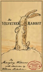 The Velveteen Rabbit: The Original 1922 Edition in Full Color – hardcover Wi…