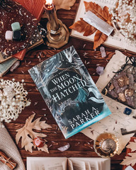 When the Moon Hatched: a Fast-Paced Romantasy The Moonfall Series, 1 -Paperback