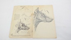 Vintage How To Draw Dogs by Walter T Foster Paperback Booklet TF
