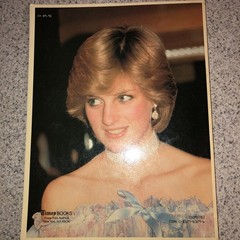 Princess by Robert Lacey Hardcover Book 1982 Diana Royalty Fashion Icon Style