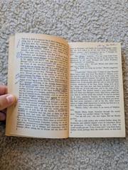 The Crying of Lot 49 by Thomas Pynchon : Vintage PB, Bantom Windstone Edit 1982