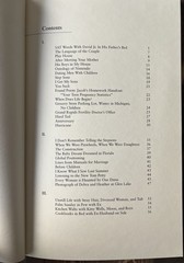 The Boys I Borrow by Heather Sellers 2007 Paperback Poetry Book 1st Edition