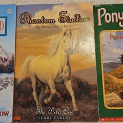 Horsemanship Care Riding Book Lot 10 Equestrian Pony Manual Horse Stories Mixed