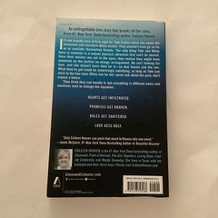 Ugly Love: A Novel Hoover, Colleen Paperback