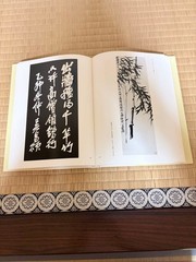 Wu Changshuo Paintings & Poems Aoyama Sugisame Edition Hardcover 31x22cm 234P u