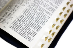 Russian BIBLE БИБЛИЯ на русском языке БОЛЬШОЙ ФОРМАТ индексы, змейка 175х245