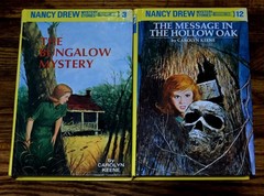 4th 5th Grade 20 Chapter Books Teacher Classroom Library Set Homeschool FB584