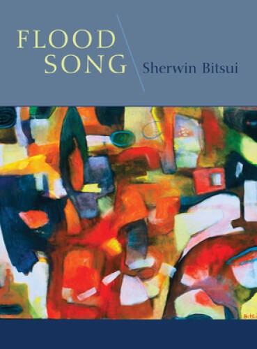 Flood Song – Paperback By Bitsui, Sherwin – GOOD