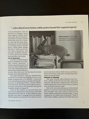 House Rabbit Handbook-How to live with an Urban Rabbit by Marinell Harriman