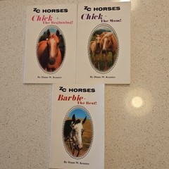 Horsemanship Care Riding Book Lot 10 Equestrian Pony Manual Horse Stories Mixed