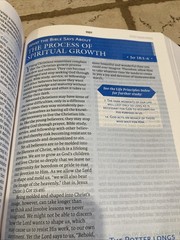 NASB Charles F. Stanley Life Principles Bible BLACK LEATHER SOFT