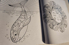 BRILLIANT ESCAPES – ADULT COLORING BOOK -48 Pages Of Summer – Suns, Animals-MORE