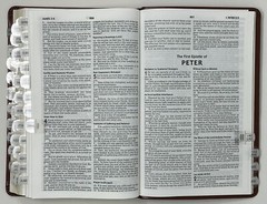 The Holy Bible: KJV: Red Letter Ed. – 2012 Leather SC Pub. by Worthy Publishing
