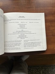 PICNIC RECIPES & MENUS FOR OUTDOOR ENJOYMENT 176 Pages