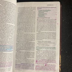 Niv Flora and Fauna Collection Bible by Zondervan Staff (2012, Leather)