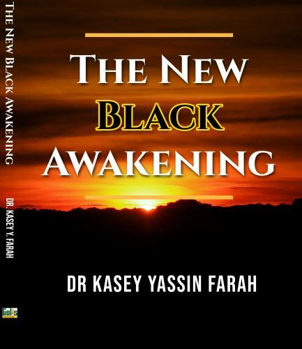 2020 The New Black Awakening by Farah, Kasey Yassin, Like New Used, Free ship…