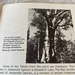 “Teton Trails”- Pamphlet (56 Pages) by Brian Harry with Illustrations 1982 PB