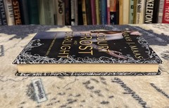 A Court of Frost and Starlight – Sarah J Maas (Hardcover) 1st/1st OOP Cover, VG