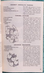 Grants Blender Cook Book 1969 Printing 84 Pages – Great Recipes From The 1960’s