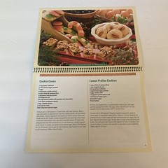 Vintage 2009 Cookbook Wisconsin Electric RECIPES Cookie Cook Book We Energies