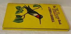 VTG 1954 The Yellow Book of Birds Of America Whitman Publishing 2978:25 HTF