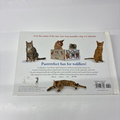 Simon and Schuster Cat Novelty Book by Brian Stanton