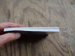 “WHAT DOES THE BIBLE REALLY TEACH?”. 2016. 223 pages. Paperback. Watchtower