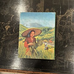 Southeast Asia Hardcover 1963 by William A Withington (Author)