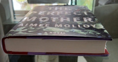 The Perfect Mother By Aimee Molloy Hardcover 317 Pages