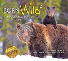 Born Wild 2: In Yellowstone an – VERY GOOD