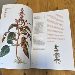 Herbal Handbook by New York Botanical Garden (Illustrated)