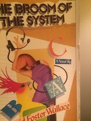 The Broom of the System