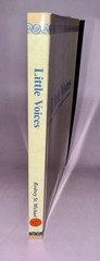 Little Voices: A True Paranoid Schizophrenic Adventure by Rodney St Michael