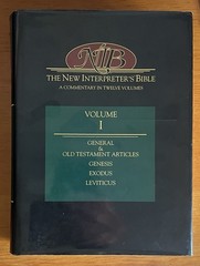 You Choose 3 Large Hardback volumes: New Interpreter’s Bible by Abingdon Press