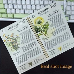 The Natural Healing Handbook, Spiral-Bound Guide For Herbal Remedies And Natural