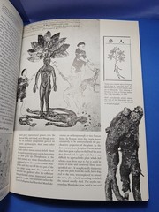 Plants of the Gods Origins of Hallucinogenic Use Schultes Evans Hoffman 1979