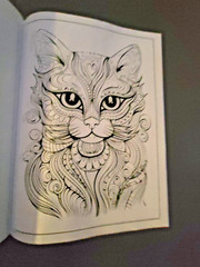 Cat Coloring -32 Spring-Inspired Designs-Relaxing & Inspirational Adult Coloring