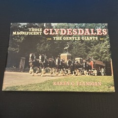 THOSE MAGNIFICENT CLYDESDALES: THE GENTLE GIANTS By Karen C. Flanigan