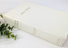 ✝️Holy Bible Self-Pronouncing Illustrated White Cover KJV World Publishing 70’s?