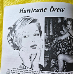 SUCK DON’T BLOW #2 ‘Mediocre Slopsheet’ 90’S ZINE Drew Barrymore ANTHONY KIEDIS