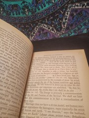 Myth and Reality Cosmos and History Mircea Eliade Myth and Meaning Levi-Strauss