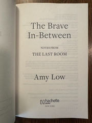ARC The Brave In-Between by Amy Low (2024, Paperback) FIRST EDITION PROOF VG